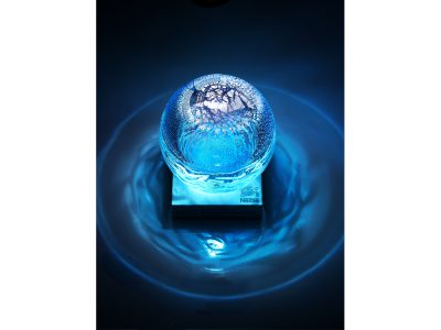 Image de CSV prize award 2012