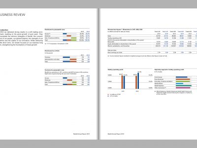 Image de Management Report 2014