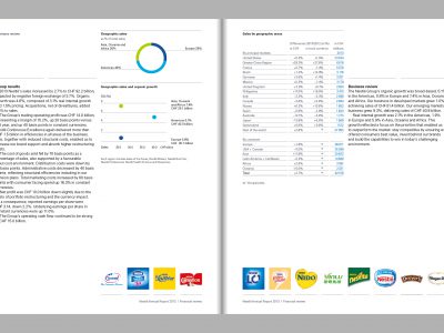 Image de Management report 2013 – Annual Report