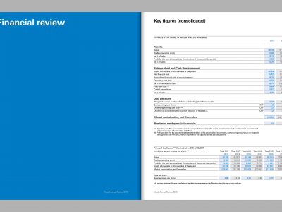 Image de Management Report 2015