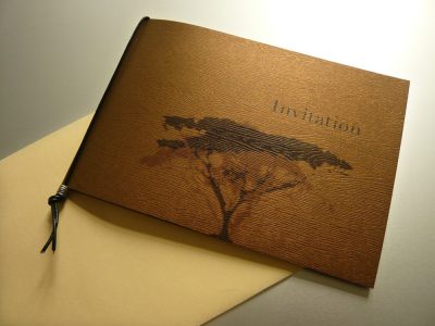 Image de Invitations overview since 2004